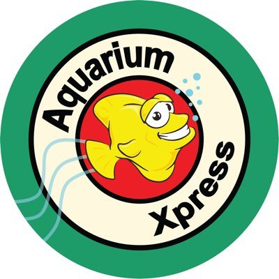 Aquarium Xpress is an aquarium maintenance company, we design, setup and maintain aquariums. DM is for any questions, we also sell corals and fish.
