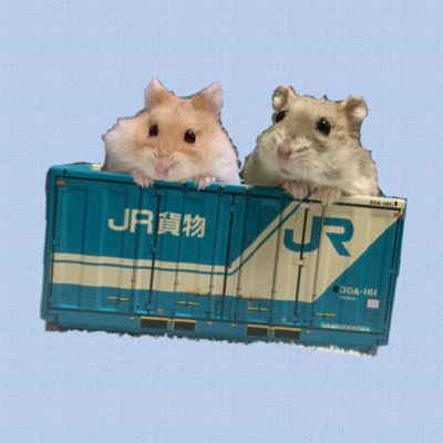 ハムスター時々ヤマネ 🐹おもち ジャンガリアン ブルーサファイア ♂🌈2022.9/10🐹きなこ キャンベル アルビノイエロー ♂🌈2021.11/27 🐭🐭ぐり♂、ぐら♀ アフリカヤマネ 2021.6/18生まれ