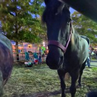 Skye ๐บ๐ธ (@skye47211892) 's Twitter Profile