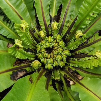 meghwill's profile picture. First, journalism; then, communications. Likes: mysteries, music, unagi maki. Proud alum of W&M, the state of Florida.