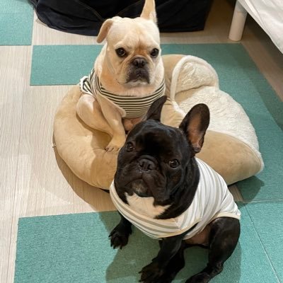 vivakaasan's profile picture. 