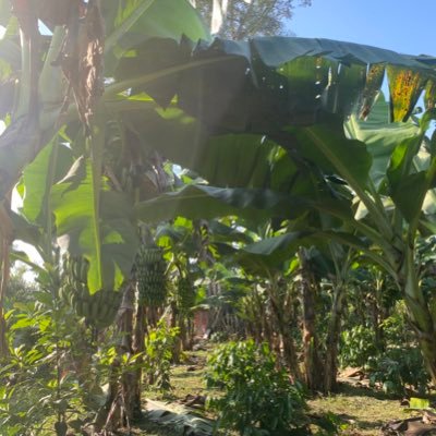 nhatminhbl99's profile picture. Xin chào mọi người, follow chéo nào !!!
0xF15b28e99F201D7545a76936f78C2Ad12B9284F9