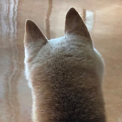 chi_rehab2021's profile picture. 夫(40代)が2020年夏に脳卒中で左半身麻痺(身体2級、要介護2→今 1)に。復職を目指し頑張ったけど、職場環境と障害が折り合わず退職。社会復帰を目指して何とか気力をつなぐ夫と、二人三脚で頑張りたい妻。→2022年7月に引越ししてまで、希望職種で再就職。不安定な日々なのでグチもあり。無言フォローもしますがご了承を。