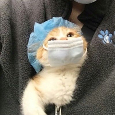 fromlalala_'s profile picture. ส่งต่อของมือ2! ♡ ♡ ♡ ♡ ดูรีวิว #รีวิวน้อนส่งต่อ