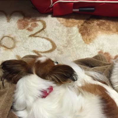 Do14555084's profile picture. キンタマ