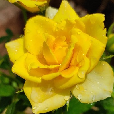 Karthi65449292's profile picture. Queen Of SP