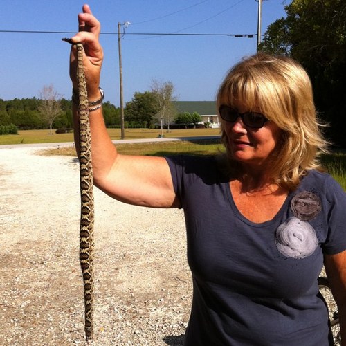 SandyWillia's profile picture. Happily married 40 years, have two amazing sons. split my time between Boca and rural living in North Florida. I like people who are kind.