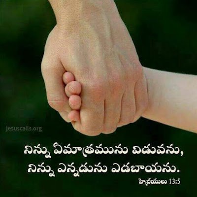 babu_m7's profile picture. 