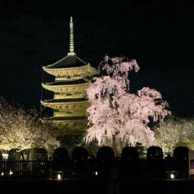 plasmayotta's profile picture. 気長に。