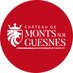 Château de Monts sur Guesnes - Historial du Poitou (@HistorialPoitou) Twitter profile photo