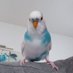 polislav (@polislav1234) Twitter profile photo polislav (@polislav1234) Twitter profile photo