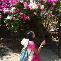 Magnolia (@htetlinnhtet) 's Twitter Profile