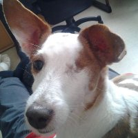 TheBest Gaspard (@gaspardthebest) 's Twitter Profile