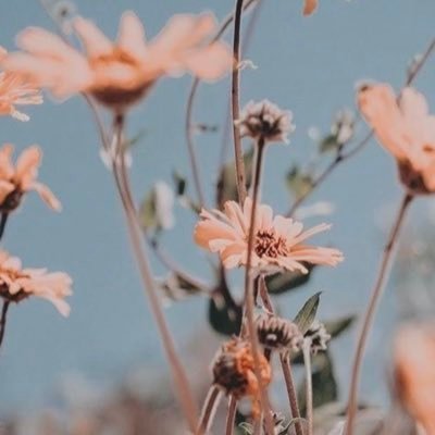 _papatyaw_'s profile picture. 💜