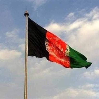 armanhijrat4's profile picture. 