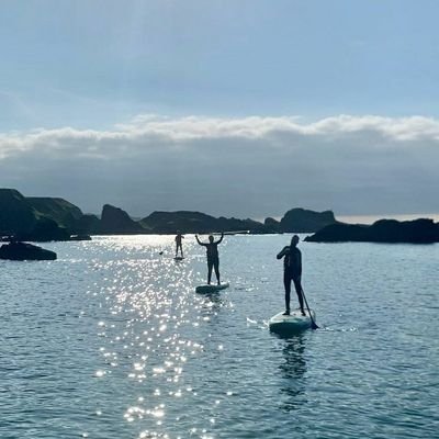 cj_hickey's profile picture. 
