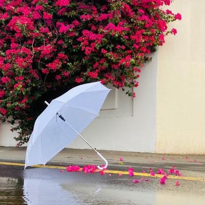 Aoop122Aoop12's profile picture. 