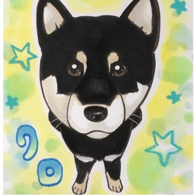 黒柴 クロの日常 (@kuroshiba_9696) / Posts / X