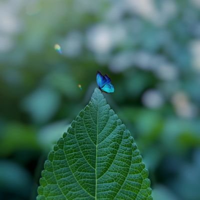photography
nature photography
natural love 💞
har har gange