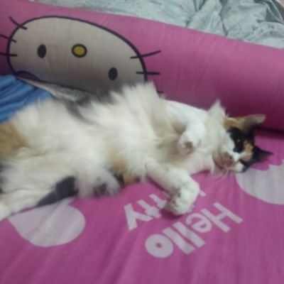 No6WxBRfuZ4CrHU's profile picture. ประเทศกูมี