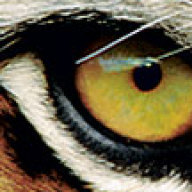 kwonboys's profile picture. 