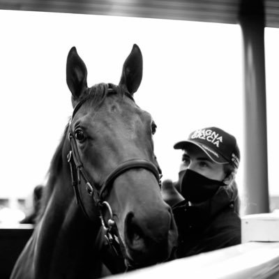 Bloodstock Marketing & Social Media Management | INS ‘22 | Equine Enthusiast 🐎