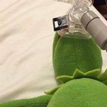 9999_guu's profile picture. 구 독 구 독 / 성인(20+)