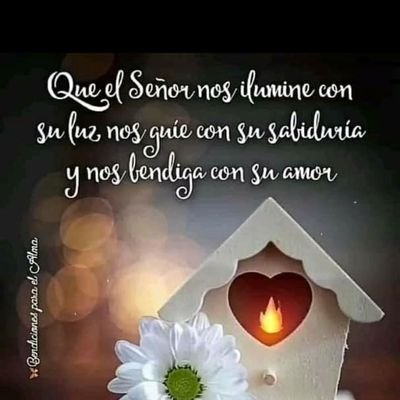 ContrerasMac's profile picture. La verdad padece pero no perece