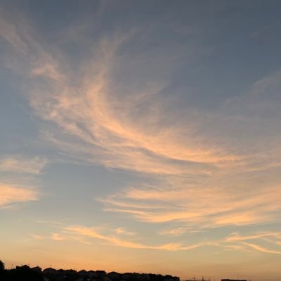 kbhiro0106's profile picture. Ph.D. student, 膠原病内科医.  LLM, 機械学習, バイオインフォマティクスを用いたirAEの研究. 読んだ論文のうち重要と思ったものの個人的感想をメモしています.