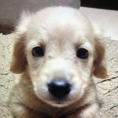 k1_jzk's profile picture. 