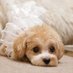 y (@67771761) Twitter profile photo y (@67771761) Twitter profile photo