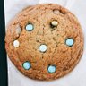 morinahacoockie's profile picture. クッキー🍪