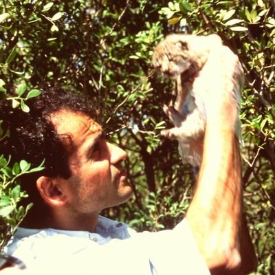 CSIC Senior Researcher at IREC (UCLM-CSIC-JCCM).
Wildlife ecology in general and wild carnivores in particular.
Currently studying Egyptian mongoose (MELOCAM).