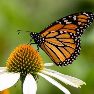 kerrypaige_g's profile picture. 