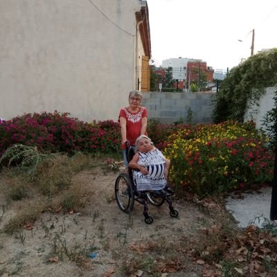 gertpp1's profile picture. 