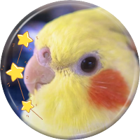 ใใใใ (@ohainko) 's Twitter Profile Photo ใใใใ (@ohainko) 's Twitter Profile Photo