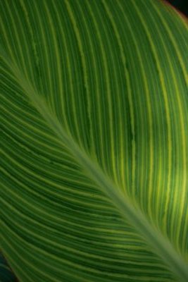 snow11083715's profile picture. timelesz🕰️篠塚大輝🤍８人が大好き💜❤💚🩵🎽💛🩷🤍お母様世代のオタク🐰小学生の頃からずっとこの事務所が好き。無言フォロー失礼します。(スノ☃️FC会員🖤)