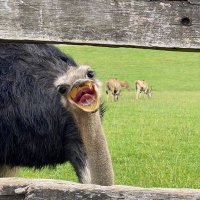 πππ ππ π£πππ π.π ξ¨ (@iamgeorgeeee) 's Twitter Profile