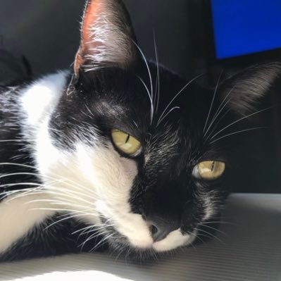 YUYIFAN3's profile picture. 