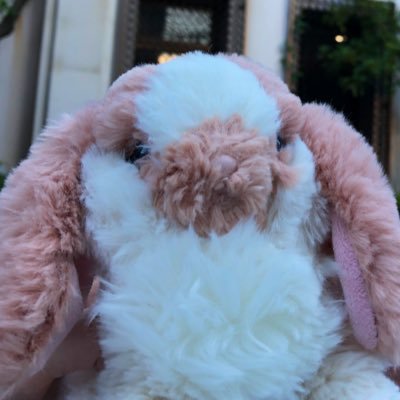 hinata_kamo's profile picture. 木曜会Z16期 かぱぱらぱん ヒナタ おいしいさかな ハッピーガトーショコラ