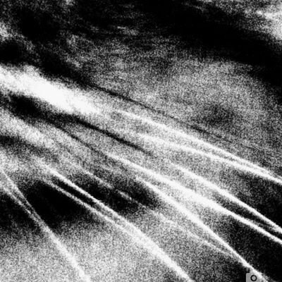 Lloren87405460's profile picture. Vegano,animalista y lo que surja....