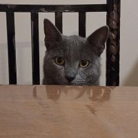 lu (@luleg_) 's Twitter Profile