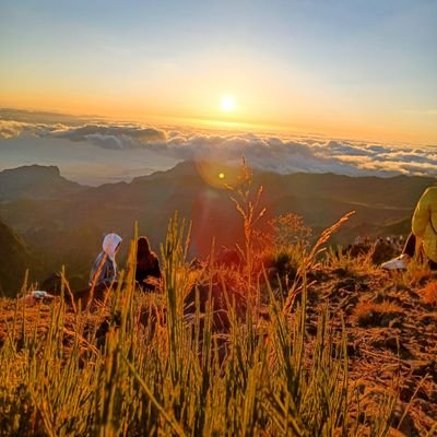 Life Nomad at Madeira Islands 📸