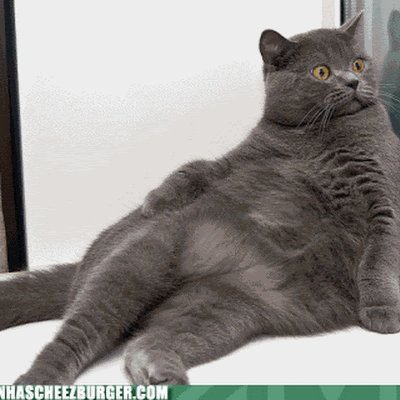 FredBlogs101's profile picture. .