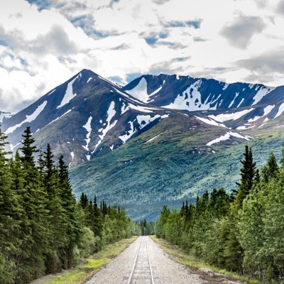 louiemcg's profile picture. 