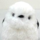 Snow Man (@snow_man0112) 's Twitter Profile
