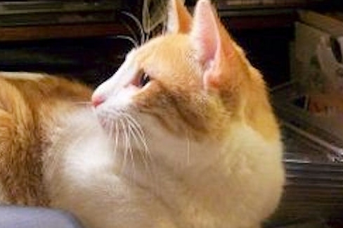 maboulette's profile picture. Cute, witty and charming - freelance medical writer. Interested in current events, writing and photography.  Live in Texas which is Hell in the summertime!