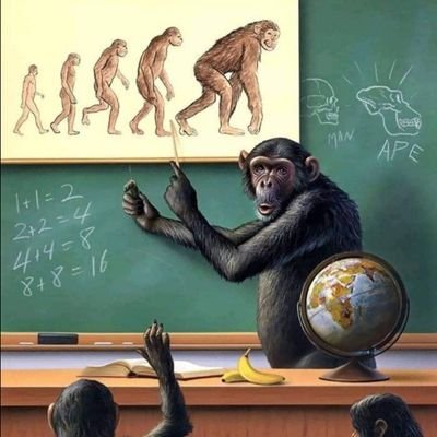 SabahatFer's profile picture. 