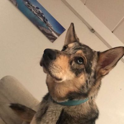 bombekylling's profile picture. Banan