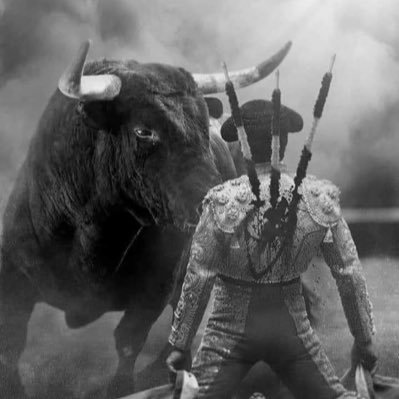 spaghettipeppe1's profile picture. pour la condition animal @RIPanimaux . Supporter d’un club 8 X champions de France AS 🇲🇨 MONACO. compte de secours d’@antichasse2